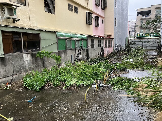 案場進度目前停留在1樓。圖／桃園市政府建築管理處